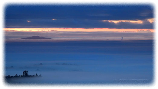 Sunrise over Auckland